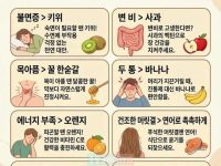 건강음식, 이럴때 이런거 먹자
