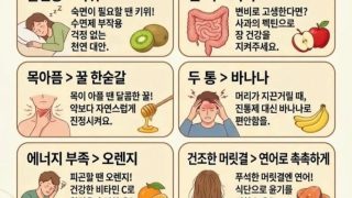 건강음식, 이럴때 이런거 먹자