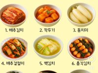 최애 김치 고르기, 몇번?