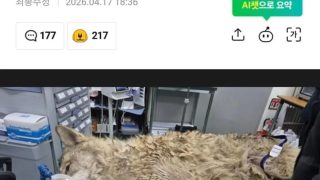 늑구가 산속에서 먹으면서 버틴 것