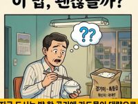 카드뮴 논란 중국산 쌀은 어떻게 우리 몸까지 들어오나