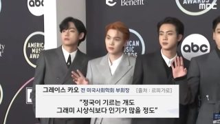 정국이 강아지보다 인기없는 그래미