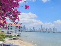 파나마 Casco Viego 추가 사진