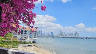 파나마 Casco Viego 추가 사진