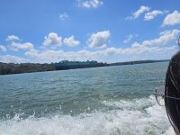 파나마 2일째 Gatun lake 몽키투어