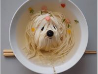 걱정거리