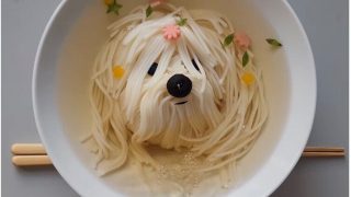 걱정거리