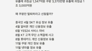 쿠팡만 잡는 친중정부