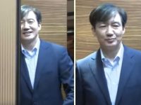 홍명보 = 조국,  주머니 손 = 엘베 웃음