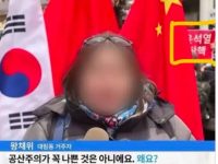 너희 나라로 꺼지세요