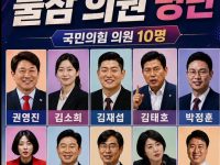 한국의 RINO 가짜보수 들