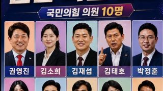 한국의 RINO 가짜보수 들
