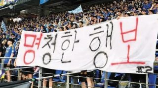 홍명보 손흥민