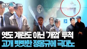 정몽규 귀국길, 개껌 맞고