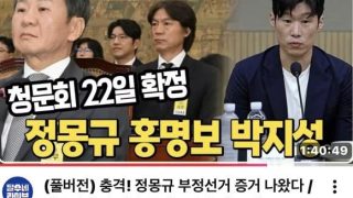 홍명보는 피해자같다 라고 했던 임오경 의원, 이번에는 손흥민 출석 요구